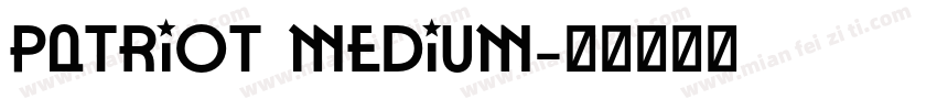 Patriot Medium字体转换
